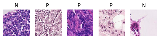 Example scientific figure